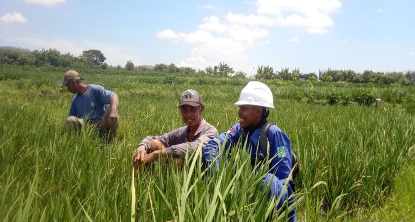 KISAH KEBERHASILAN PROGRAM PERTANIAN BERKELANJUTAN
