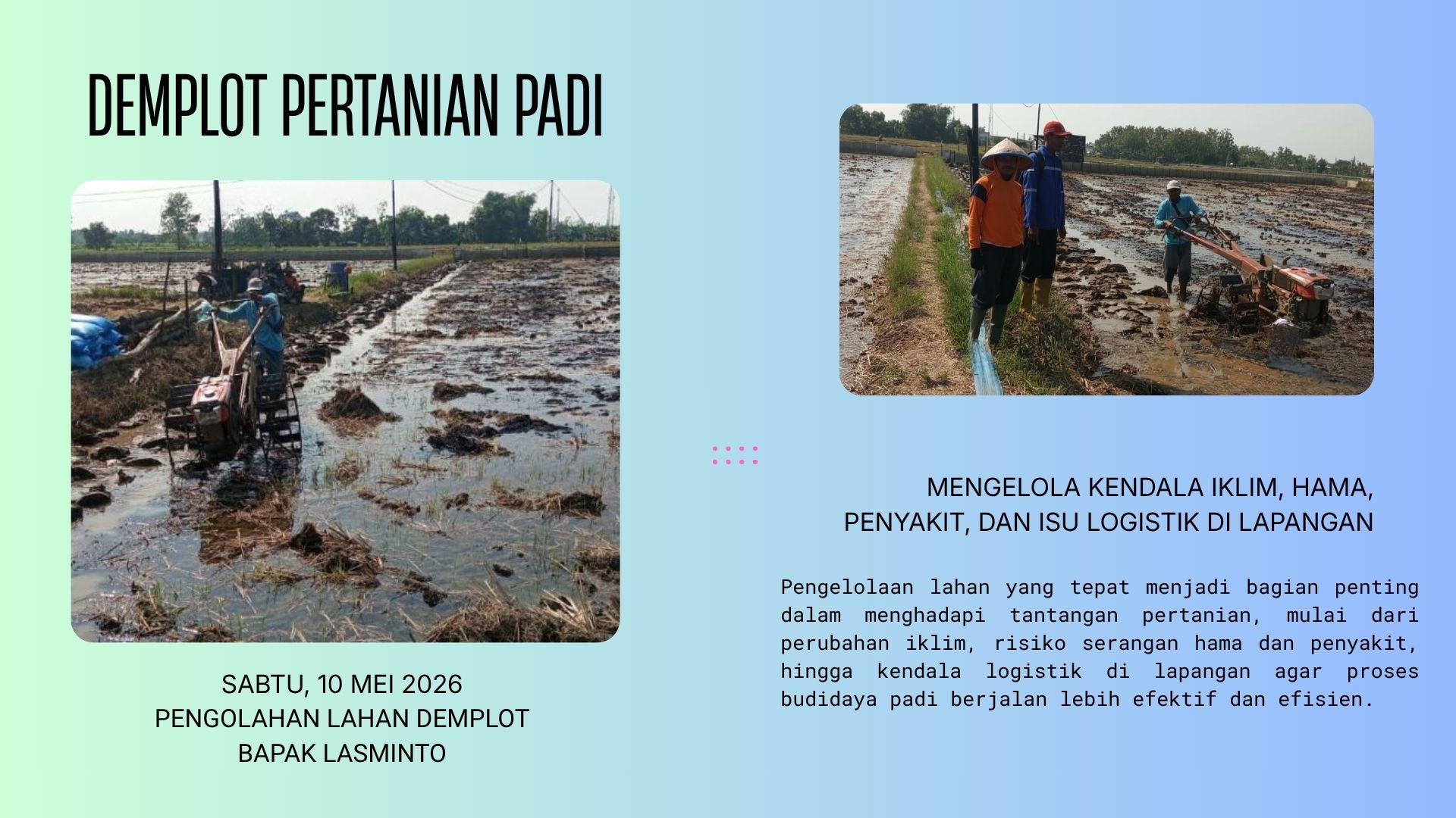 Pengolahan Lahan Demplot Jadi Awal Perubahan Cara Bertani di Sumurjalak