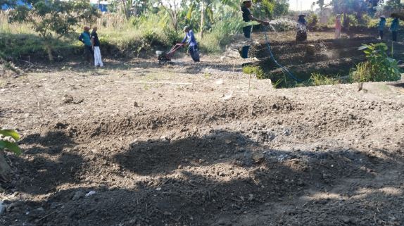 Pembuatan Gulutan dan Persiapan Lahan Taman Gizi Keluarga